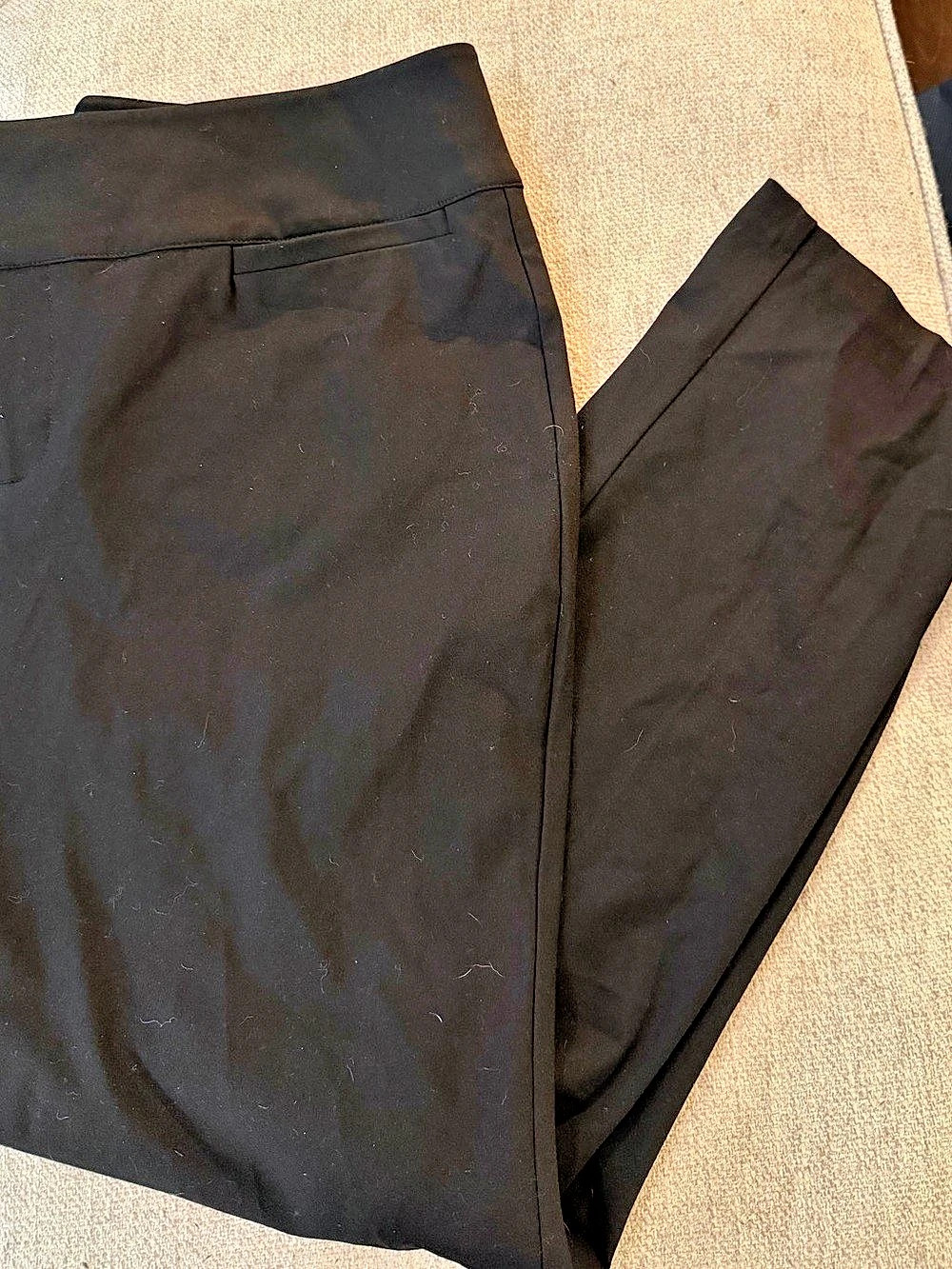 TORRID Studio by Torrid Trousers Black Size 16 NWT